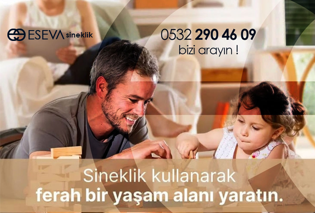 Ataevler Sineklik